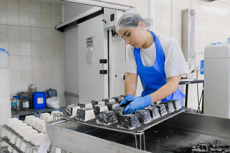 Profissional de uniforme, luvas e touca manipulando alimentos em ambiente industrial, organizando blocos em uma esteira de processamento dentro de uma área de produção.
